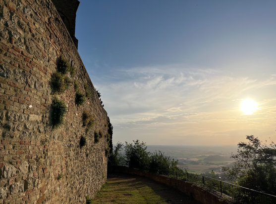 View from outside Bertinoro castle towards East. The sun has just risen. Early morning. There is still mist over the beautiful landscape of Emilia Romagna, towards Rimini at the Adriatic sea. On the left we see some of the old fortress murals on which already some bushes of grass are growing. In front, we see a small terrace. The floor is overgrown with grass.