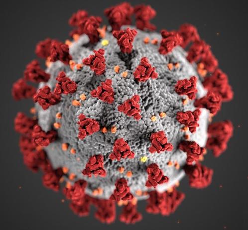 Model of a COVID virus