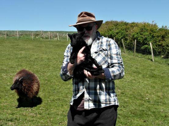 A man in a hat holding a very black lamb, while the mother stands to the side.