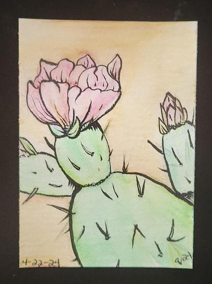 A flowering cactus plant