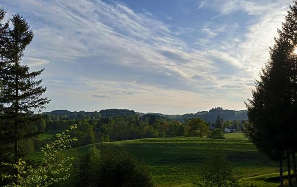 View from a high point, looking out over rolling grass meadows and wooded hills. Tall shadowed pine trees frame the view on left and right, sun peeping through the branches. The sky is powder blue with softly lit ragged clouds. The whole landscape is glowing with the soft evening light.