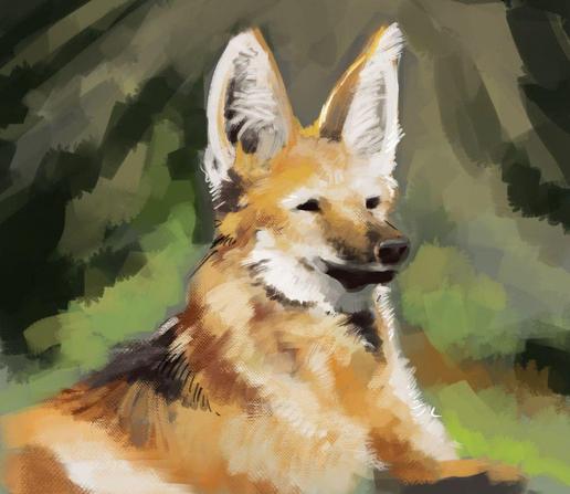 Digital sketch of a Maned Wolf. It's mostly a portrait, focusing on the face (and large ears) and leaving the chest, legs, and background mostly as a blur of colors. The orange and brown hues contrast with the darker, more desaturated greens of the background.