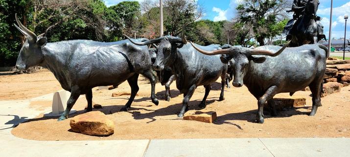 Front view of sculptures of a herd of dark-gay cattle marching. Partial view of a sculpture of a cowboy on a horse behind the cattle. Green trees on the left, behind the cattle.