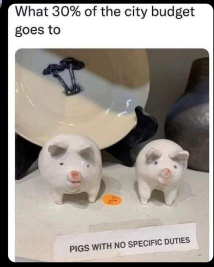 What 30% of the city budget does to: picture of porcelain pigs and a sticked note "pigs with no speicific duties".