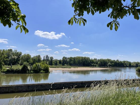 La Loire avec un banc de sable, des îles, des arbres sur les berges
Séparée du canal d’Orléans par un muret