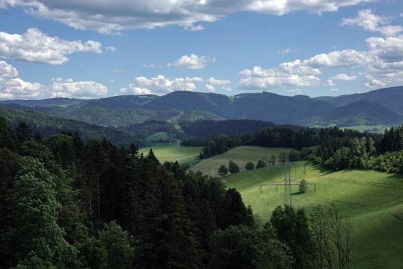 Blick über die Wälder des Schwarzwalds oberhalb von Stegen, die Stromtrasse, die sich durch das Bild zieht, wird teils von der Sonne beschienen.