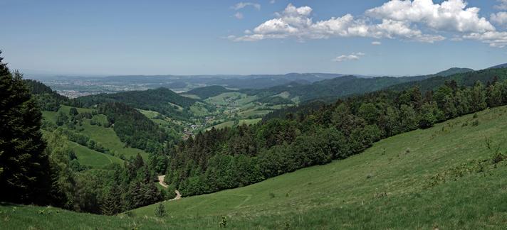 Weiter Ausblick vom Streckereck durch das Föhrental ins Rheintal, teils bewalded, teils offene (Weide-)Wiesen.