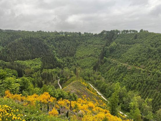 View of a steep climb