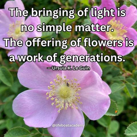 A social post from @lifeboatacademy which says: “The bringing of light is no simple matter. The offering of flowers is a work of generations.” — Ursula K. Le Guin