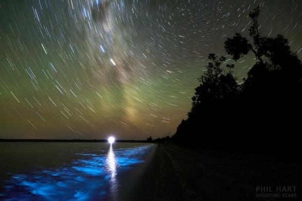 2014 August 9

A Luminous Night
 * Image Credit & Copyright: Phil Hart

Explanation: 
What shines in the world at night? Just visible to the eye, a rare electric blue glow spread along the shores of Victoria Lake on January 16, 2013. Against reflections of a light near the horizon, this digitally stacked long exposure recorded the bioluminescence of Noctiluca scintillans, plankton stimulated by the lapping waves. Above, the night skies of the Gippsland Lakes region, Victoria, Australia shine with a fainter greenish airglow. Oxygen atoms in the upper atmosphere, initially excited by ultraviolet sunlight, produce the more widely seen fading atmospheric chemiluminescence. Washed out by the Earth's rotation, the faint band of the southern summer Milky Way stretches from the horizon as star trails circle the South Celestial Pole. 

Authors & editors: Robert Nemiroff (MTU) & Jerry Bonnell (UMCP)
NASA Official: Phillip Newman Specific rights apply.
NASA Web Privacy Policy and Important Notices
A service of: ASD at NASA / GSFC
& Michigan Tech. U.