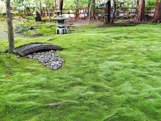 Un tapis de mousse verte, à gauche un petit pont de bois qui surplombe une rivière de cailloux. Au fond, une lanterne de pierre, japonaise.