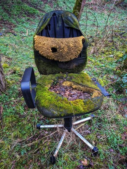 A moss-covered, dilapidated office chair sits outdoors amidst foliage. The seat is torn, revealing the inner material, and green moss grows across its surface. The back of the chair is also damaged, with exposed yellow foam. The chair has black armrests and a silver-coloured five-wheeled base. It is surrounded by natural ground cover, including moss, small plants, and fallen leaves.