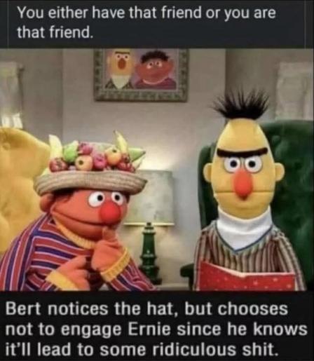Meme with Ernie and Bert from Sesame Street. Ernie is wearing a hat with a large amount of fruit on it. Bert is looking up from a book and into the camera. His unibrow eyebrows are curved in such a way that he looks rather irritated. 

The text at the top of the meme reads, "You either have that friend or you are that friend."

The text at the bottom of the meme reads, "Bert notices the hat, but chooses not to engage Ernie since he knows it'll lead to some ridiculous shit."