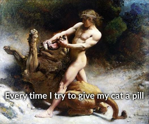A classic Samson slaying the lion painting turned into a meme. Caption says: Every time I try to get my cat a pill.