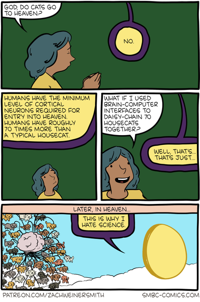 Woman asks God if cats go to heaven.  He says no, humans have the minimum number of neurons for entry.  The woman says "What if I used brain-computer interfaces to daisy-chain 70 housecats together?"  The final panel shows a group of cats wired together, floating above a cloud, and God saying "This is why I hate science."
