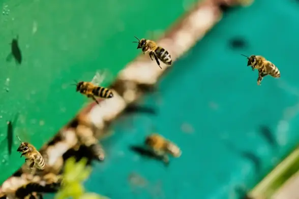 Honeybees return to their hive.