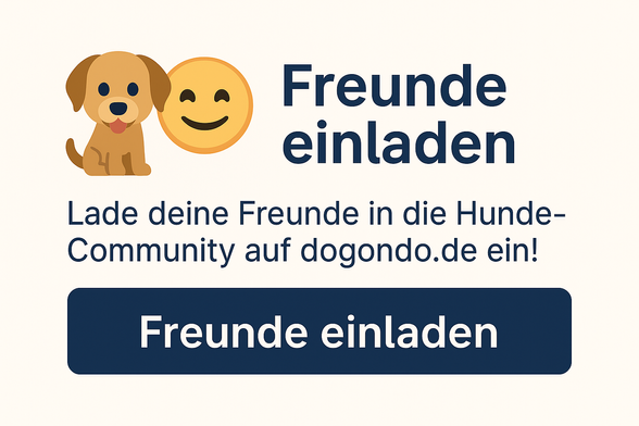 Freunde einladen dogondo community