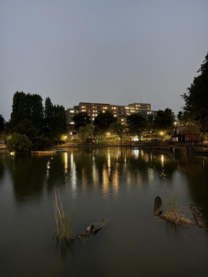 At the pond at Mitsugi Park.