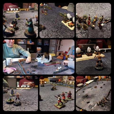 8 pictures showing minis in several scenarios. Top left: a healer, some warriors and a chicken look at a fighter moving towards hospital beds with cocoons. Top centre: some hospital beds with cocoons and a giant spider while some warriors are ignoring what's there. Top right: Warriors setup for a new scenario and immediately being accosted by a darkwood vine. Middle left and centre: while setting up for a scenario a cat has landed on that gaming table and is loafing down while watching us set everything up. Middel right: post apocalyptic Boris Johnson with bear ass is approaching hospital beds with cocoons on while holding a sword. Bottom left: Boris Johnson and a warrior and a cat subbing for a war dog are approaching more cocoons on beds. Bottom centre: three Warriors in red leg it across the tabletop towards a darkwood vine and a cupboard in the distance. Bottom right: gaming table set up with some bowls of snacks around.