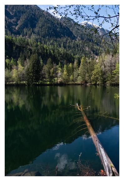 Foto im Hochformat. Blick auf einen Bergsee. Ein kahler Baumstamm ragt von vorne rechts ins Wasser. Das Wasser ist dunkelgrün. Am anderen Ufer ist bewaldetes Gebirge in unterschiedlichen Grüntönen. Dieses spiegelt sich, etwas dunkler, im Wasser.