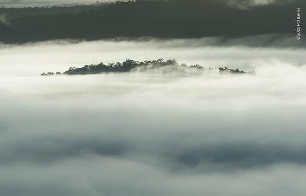 A dense white bank of mist fills most of the frame. In the middle distance the very top of a treed ridge peeks out above the encircling mist like a surrounded island. In the far distance are glimpses of further ridges with only light mist clinging to them.