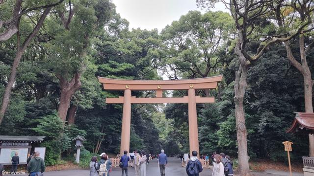 A large torii gate over a wide path. The path is lined with large green trees on both sides. Some people are standing in front of the torii.