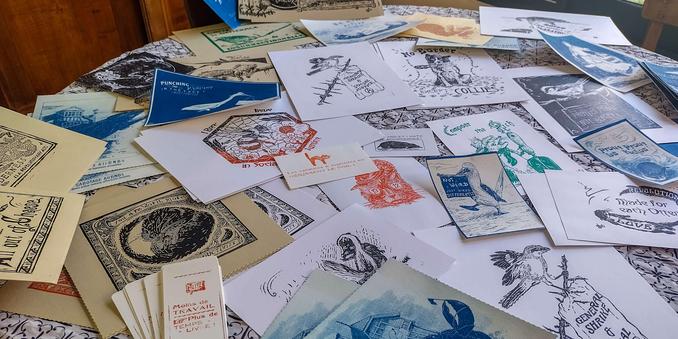 Plein de prints avec des papiers, des tailles et des illustrations différentes mais beaucoup d'animaux, des styles vintages et des messages progressistes. Les prints sont posés sur une table relativement grande et la recouvrent presque entièrement.