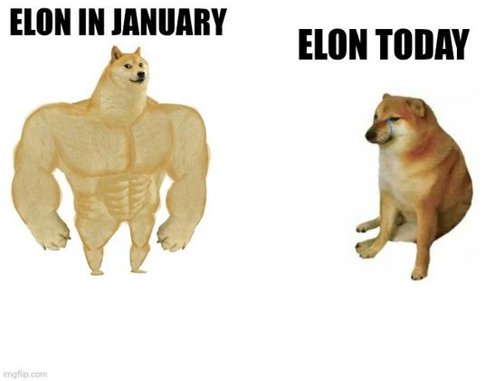 it's the buff Doge vs Cheems cartoon meme

buff doge is a crudely drawn hyper-muscular bipedal figure with giant arms and tiny legs and the head of a Shibu Inu dog

label is "Elon in January" 

Cheems is a comparatively weak Shibu Inu smiling. 

label is "Elon Today"
