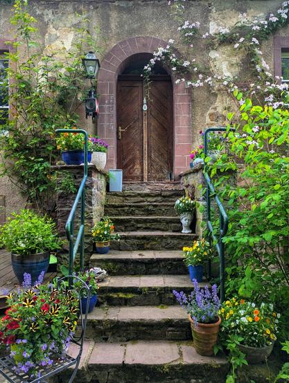 A slightly low-angle shot captures a stone staircase leading up to a weathered wooden door with an arched stone frame. The steps are uneven and appear aged, with moss growing in some crevices. Potted plants, overflowing with colourful flowers and lush greenery, line both sides of the staircase, creating a cottagecore aesthetic. To the left, a black metal chair with a floral cushion sits amongst the pots. A vintage-style lantern is mounted on the wall to the left of the door. The stone walls surrounding the doorway and staircase are textured and show signs of age, with climbing plants, including some with white flowers, adding to the rustic charm. The overall impression is one of a quaint and well-tended entrance to an older building, bathed in soft daylight.