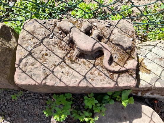 The sculpture of a lizard sitting on a Vosges mountains sandstone (which is rose-coloured). The shadows of the chicken coop fence draws a diamond-shaped pattern on it.