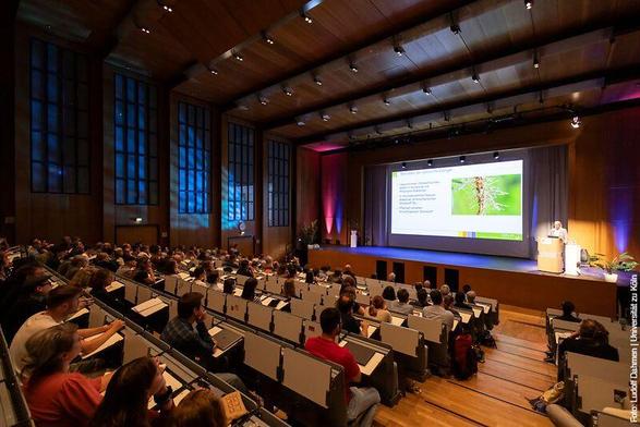 Großer Hörsaal während einer Präsentation mit Publikum, das einem Vortrag auf der Leinwand zuhört.