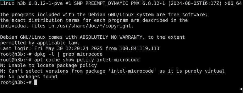 screenshot of logging into proxmox and showing that neither are microcode updates installed, nor are they even available