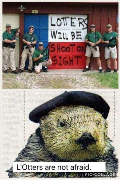 Photo of a group of armed men with a sign that reads, “lotters will be shoot on sight” which was intended to read, “looters will be shot on sight.” Below is a photo of an otter wearing a French beret with the satirical caption, “l’Otters are not afraid.”