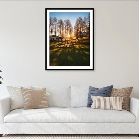 Long shadows of poplar trees at sunset