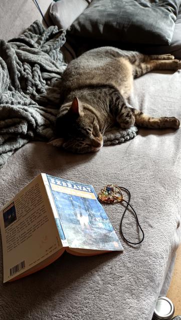 Un de mes chats étalé sur le canapé à côté d'un livre ouvert, face contre le canapé et son marque-page élastique .  Titre du livre, "La honte de la famille" d'Exbrayat .
Le chat, c'est le petit dernier, vous savez, Ombre le baba cool qui est copain avec les zozios, et qui les ramène vivant et en pleine forme dans l'appartement...🤦🏻‍♀️ Au passage, au début, il s'appelait Umbre (Tombétoile) mais mon mari qui n'avait pas la ref n'arrivait pas à retenir... du coup ça s'est changé en Ombre...🤷🏻‍♀️