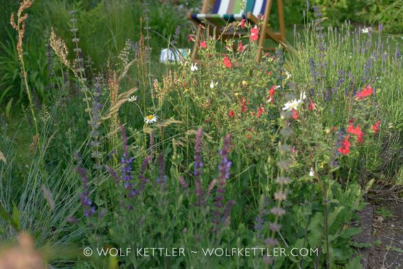 In the foreground a somewhat unruly border. Blue flowering salvia and clary, a red flowering salvia and a sprinkling of white flowering marguerites. Blurry in the background part of a deck chair.