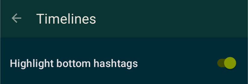 Screenshot of a new Settings called "Highlight bottom hashtags". This feature is turned on.