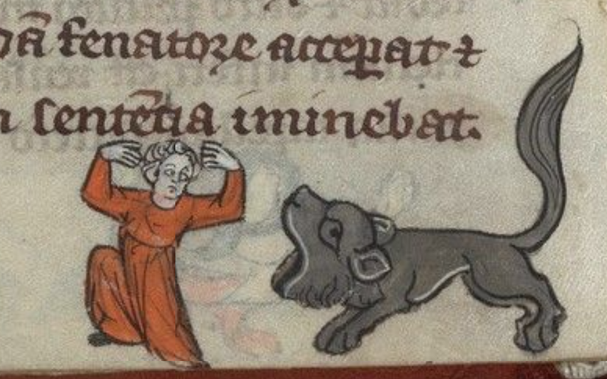Medieval manuscript illustration of a large-headed, long-tailed black lion roaring at a frightened person whose hands are in the air.