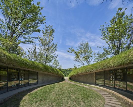 An underground library seamlessly integrated into a grassy hillside, with its curved, earth-covered roof blending into the natural landscape. The building’s entrance is formed by a gentle cut into the slope, revealing warm wooden interiors visible through a large glass façade. Inside, the library features concentric circular bookshelves and cozy reading nooks, illuminated by soft, natural light filtering from above.