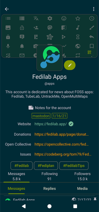Screenshot of our profile where three features hashtags are displayed. We have defined three hashtags: Fedilab, Fediplan and FedilabTips