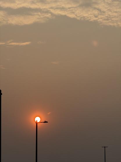 Photo of the sky. The sun is tangerine orange, just behind the top of a lamppost. 

The sky itself is an orange haze colour, with a few clouds at the top of the image. 
- - -
Photo du ciel. Le soleil est orange tangerine, juste derrière le haut d’un lampadaire.

Le ciel lui-même est d'une couleur orange brume, avec quelques nuages dans le haut de l'image.