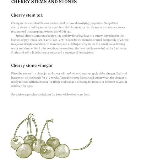 Recipes for cherry stem tea and cherry stone vinegar.