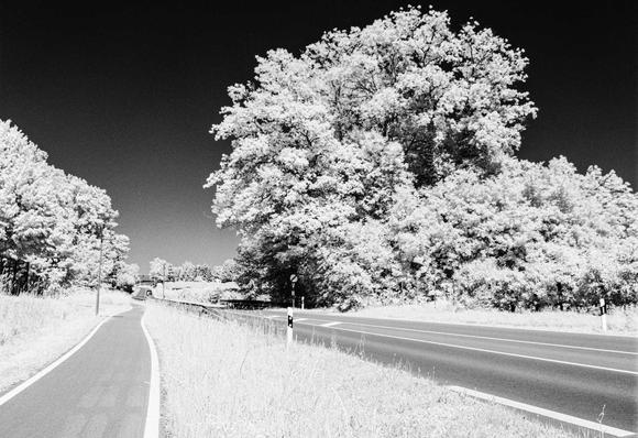 Along the street
