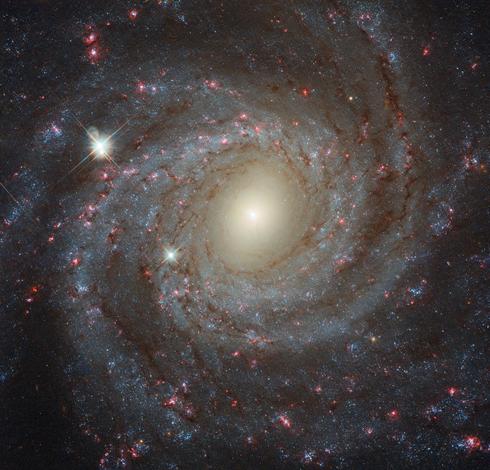 2025 June 8

Grand spiral galaxy NGC 3344 is shown. Spiral arms with stars, star clusters, and nebula are visible. 

Facing NGC 3344
 * Image Credit: ESA/Hubble & NASA

Explanation: 
From our vantage point in the Milky Way Galaxy, we see NGC 3344 face-on. Nearly 40,000 light-years across, the big, beautiful spiral galaxy is located just 20 million light-years away in the constellation of Leo Minor. This multi-color Hubble Space Telescope close-up of NGC 3344 includes remarkable details from near infrared to ultraviolet wavelengths. The frame extends some 15,000 light-years across the spiral's central regions. From the core outward, the galaxy's colors change from the yellowish light of old stars in the center to young blue star clusters and reddish star forming regions along the loose, fragmented spiral arms. Of course, the bright stars with a spiky appearance are in front of NGC 3344 and lie well within our own Milky Way.

Authors & editors: Robert Nemiroff (MTU) & Jerry Bonnell (UMCP)
NASA Official: Amber Straughn Specific rights apply.
NASA Web Privacy, Accessibility, Notices;
A service of: ASD at NASA / GSFC,
NASA Science Activation
& Michigan Tech. U.