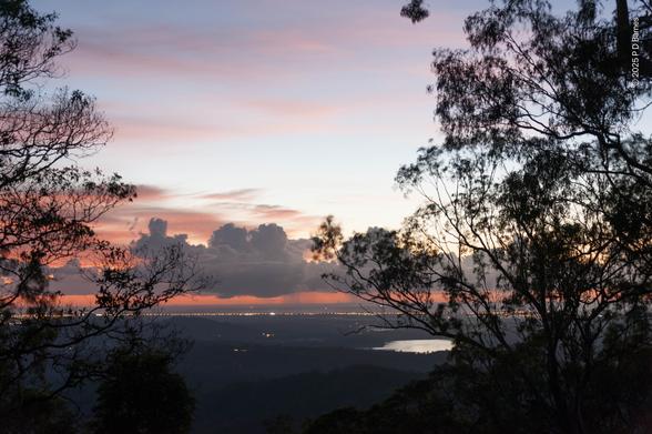 A gentle pink sunrise. In the close foreground the shot is framed by two trees in silhouette, left and right. Behind them, barely visible treed plains stretch darkly, relieved only by a shining dam, out to a tiny ribbon of pre-dawn lights from the coastal strip of houses. Behind them, the sea is only visible as a dull grey band. Floating not far above are low, puffy still-grey cumulus, making a contrast with much higher patchy cloud lit a gentle pink. Just visible are a few showers from the cumulus, falling out to sea.