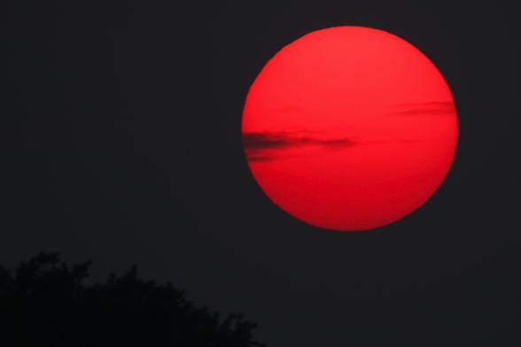 Sunset photo of a large red sun with a bit of horizontal cloud on its right side. The Sun is in the upper left against a dark grey sky with a treetop in silhouette in the lower right.