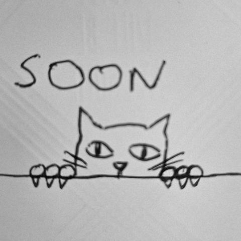 Photograph of a black and white hand drawn picture. It has a cartoonish looking cat in the style of "Killroy was here" peeking over a wall with clawed paws. The word "Soon" in all capital letters is poorly written above it.