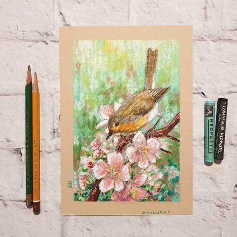 An oil pastel painting of a robin with pink spring blossoms on a green and pink background.
This is an original art work
Fine art oil pastel on toned pastel paper
Size A5 (21cm x 14.5cm)
Sold unframed