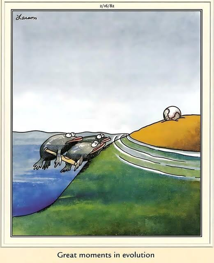 "Great moments in evolution."
(aquatic animals looking a baseball that was just outside of the water)