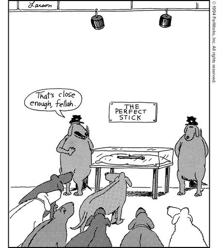 At the Dog Museum